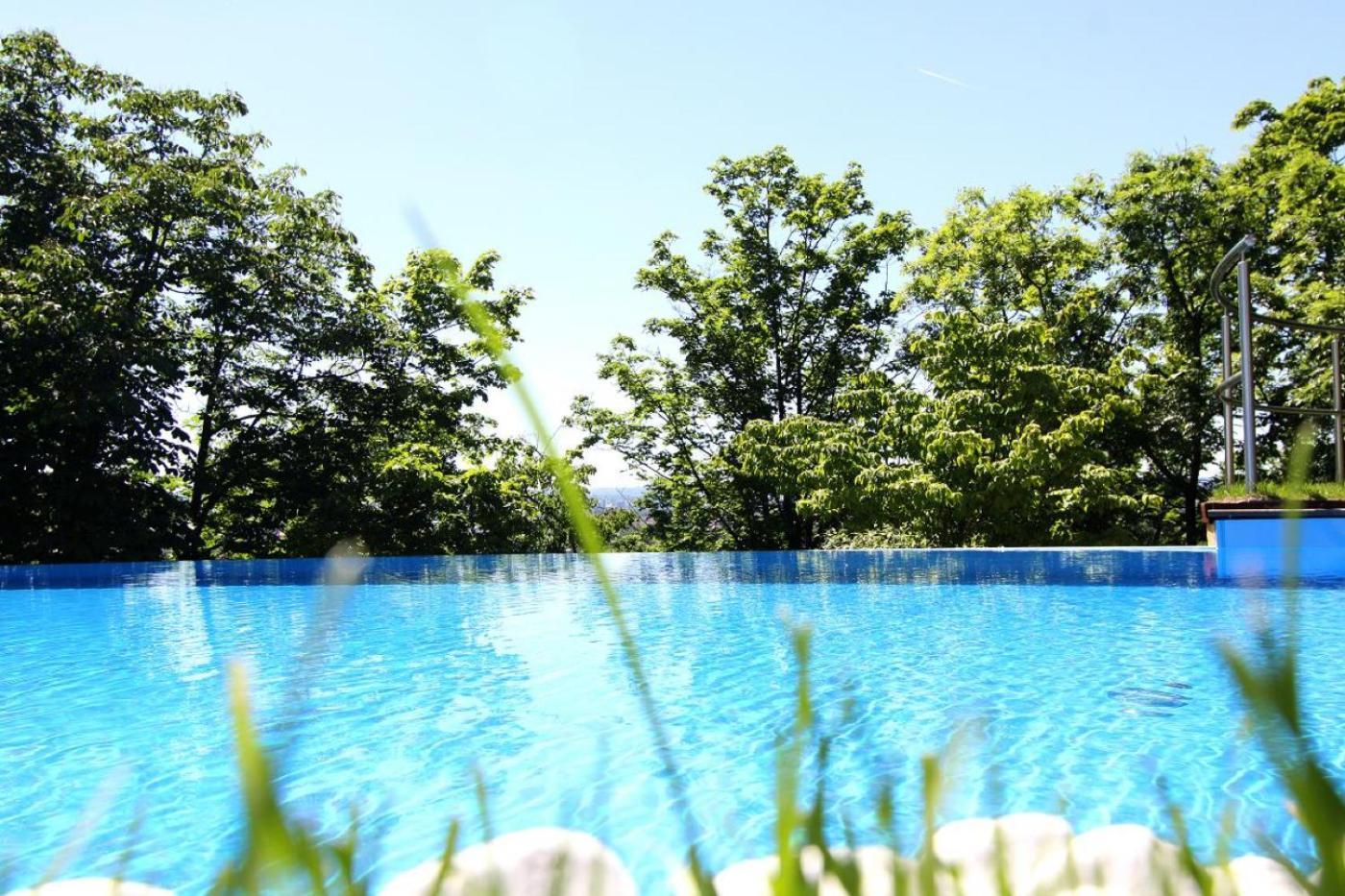 Villa Via Lapis - Panoramablick Ueber Dresden - Garten - Pool - Sauna - Luxus Экстерьер фото